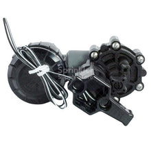 Load image into Gallery viewer, Rain Bird - 075ASVF - 3/4 in. Anti-Siphon Valve