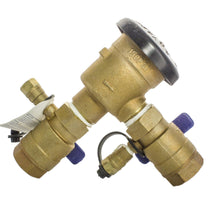 Load image into Gallery viewer, Wilkins - 12-720A - 1/2" PVB, Pressure Vacuum Breaker, Backflow Assembly, (STANDARD)